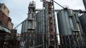 elevator-dg-300x169.jpg
