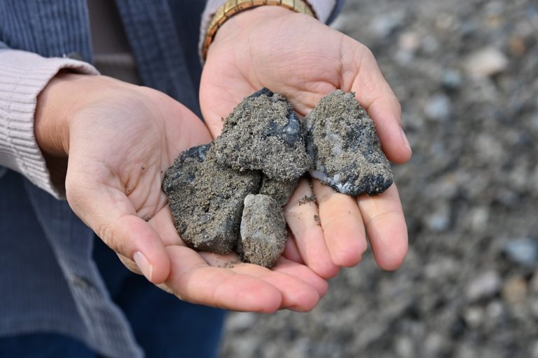 5 shcheben, poluchaemiy v protsesse pererabotki