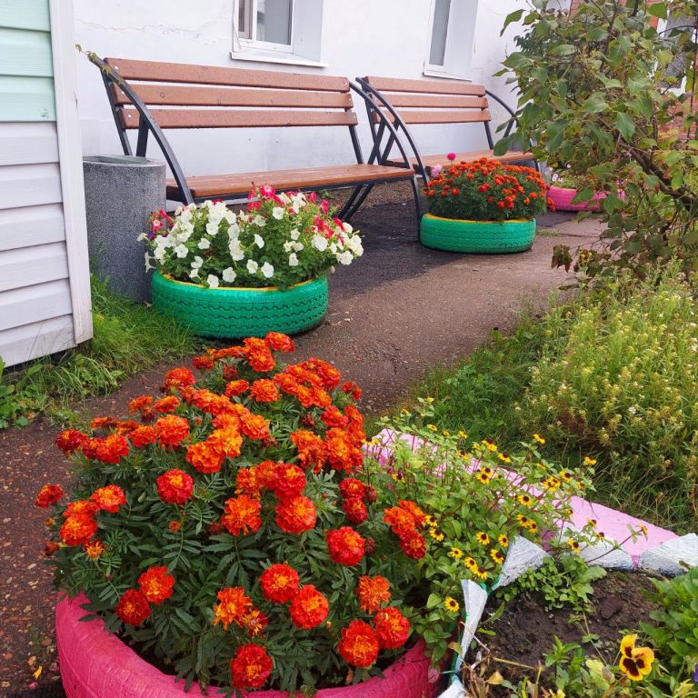 photo_2024-09-04_06-33-08