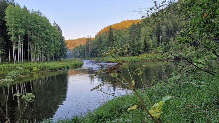 WhatsApp_Image_2024-