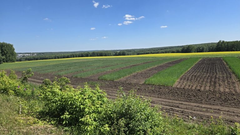 FgX2ZXLTRNg1khRZCzw8WhKmzU9fnOd4gg89gU9w9PgVBhNY1f0qBWLk8Re8CBtpSE-hdWkzhNjbM5T4ZeqOazuS