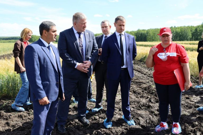 сивер-день поля