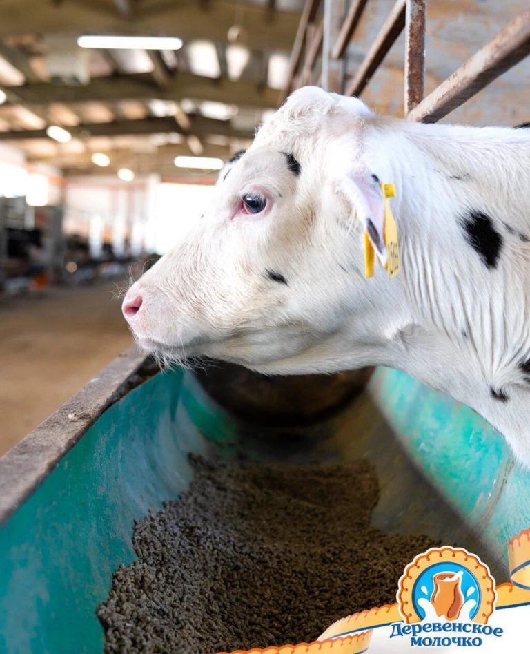 RQWdywJHEIpfmFHVrpwK0sUQEtiowxNPnp0OB3tn98RrNvep5K8Rq-Y3LeJYDYFsc3WVVCK_Xxr02_6WrnXUl0vA