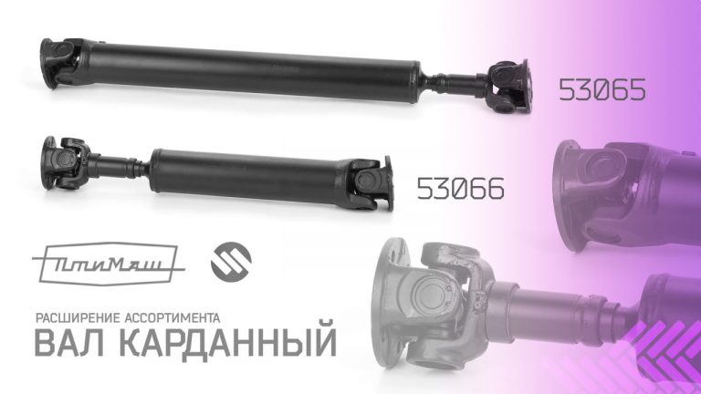 photo_2026-01-23_17-50-20