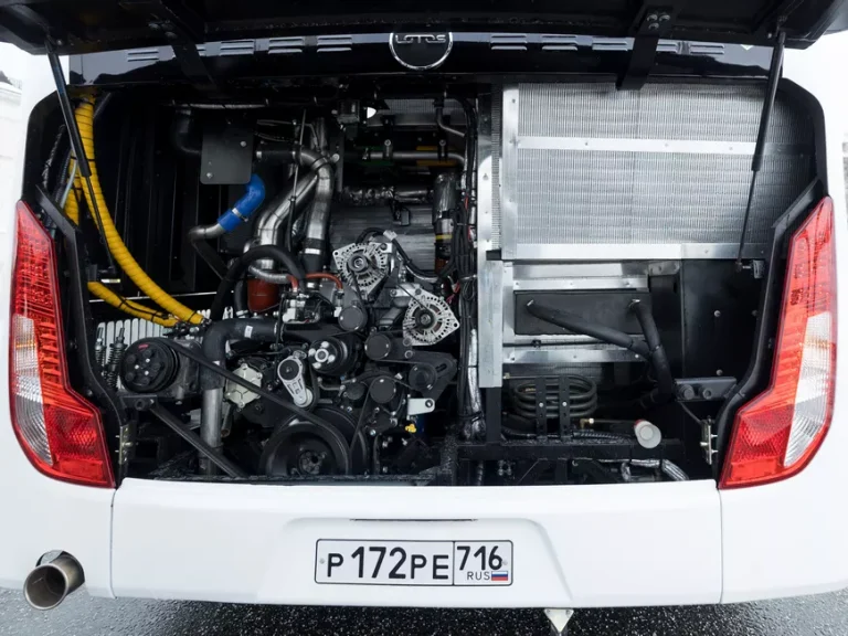 лотос-раритэк